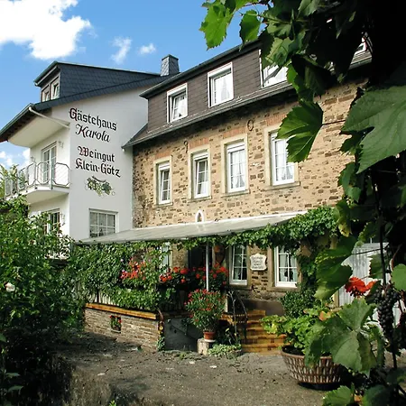 Gasthof Weingut Klein-götz *